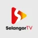 Selangor TV Live Streaming Free HD
