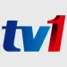 TV1 Live Streaming HD Now